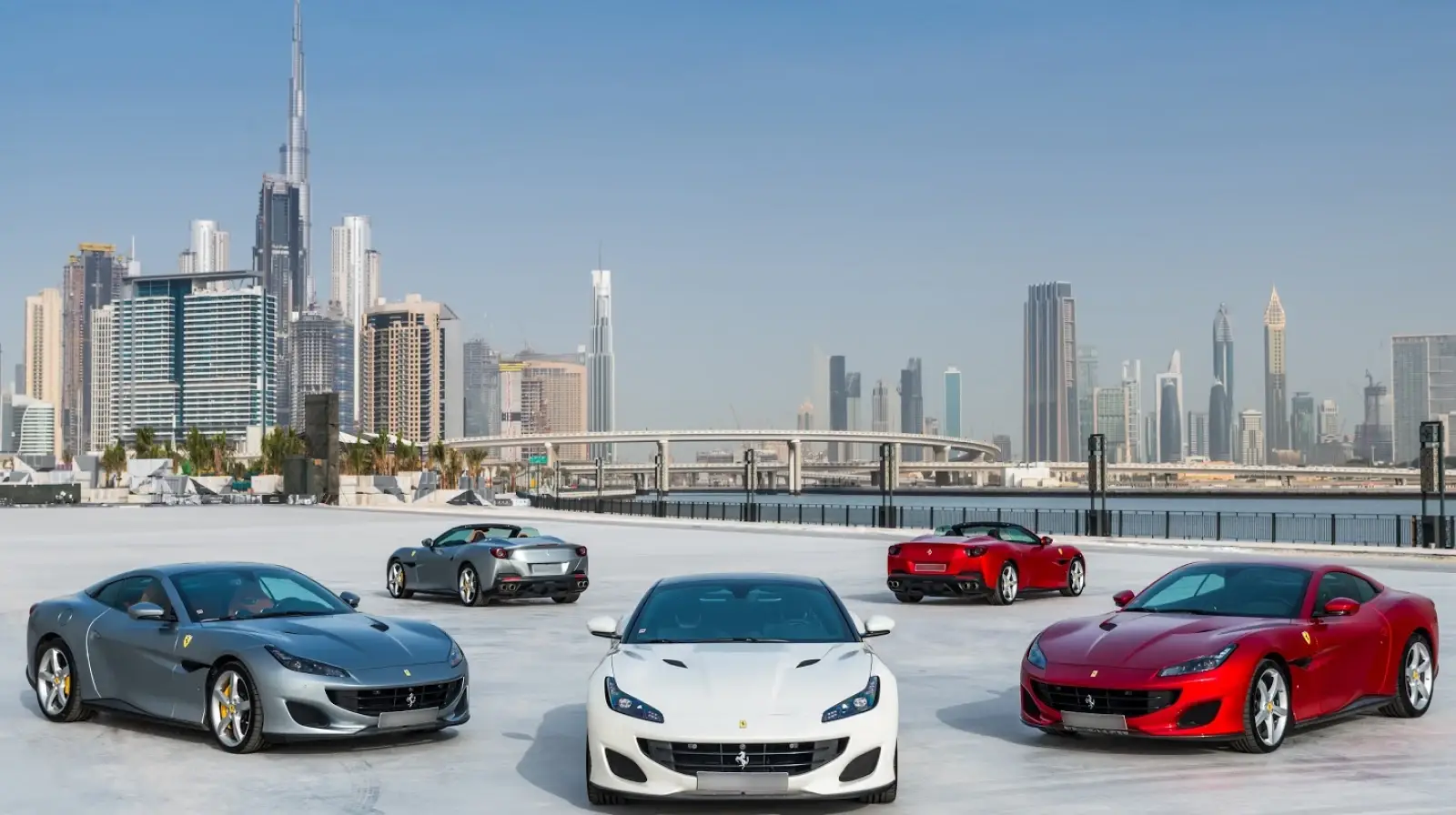 light vehicle driver